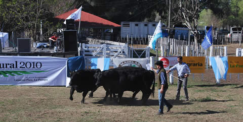 Expo Rural de Pico