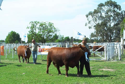 Expo Rural y Comercial de General Pico