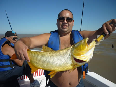 Pesca del Dorado
