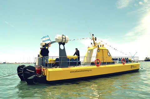 Avistaje submarino de ballenas en Chubut